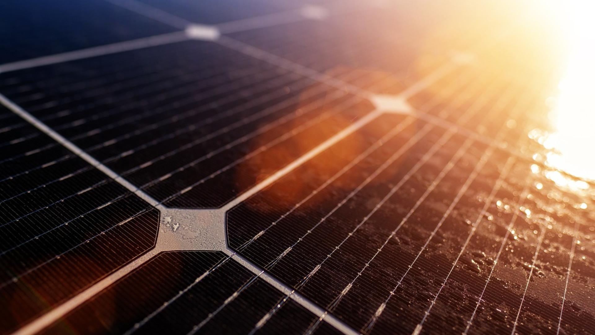 Des panneaux solaires pour diminuer vos dépenses énergétiques